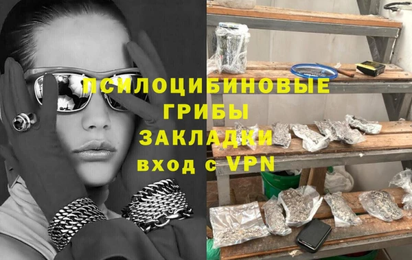 спиды Тавда