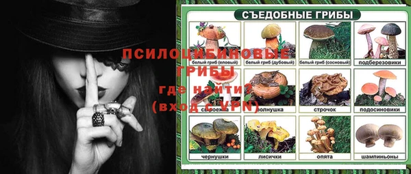 стафф Белокуриха