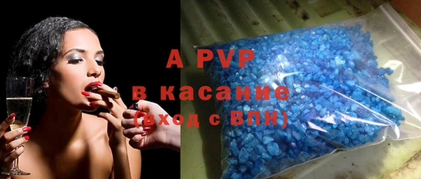 стафф Белокуриха