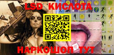 шишки Боровичи