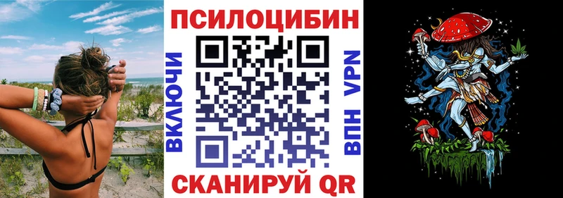 где купить Вязники kraken зеркало Псилоцибиновые грибы мицелий