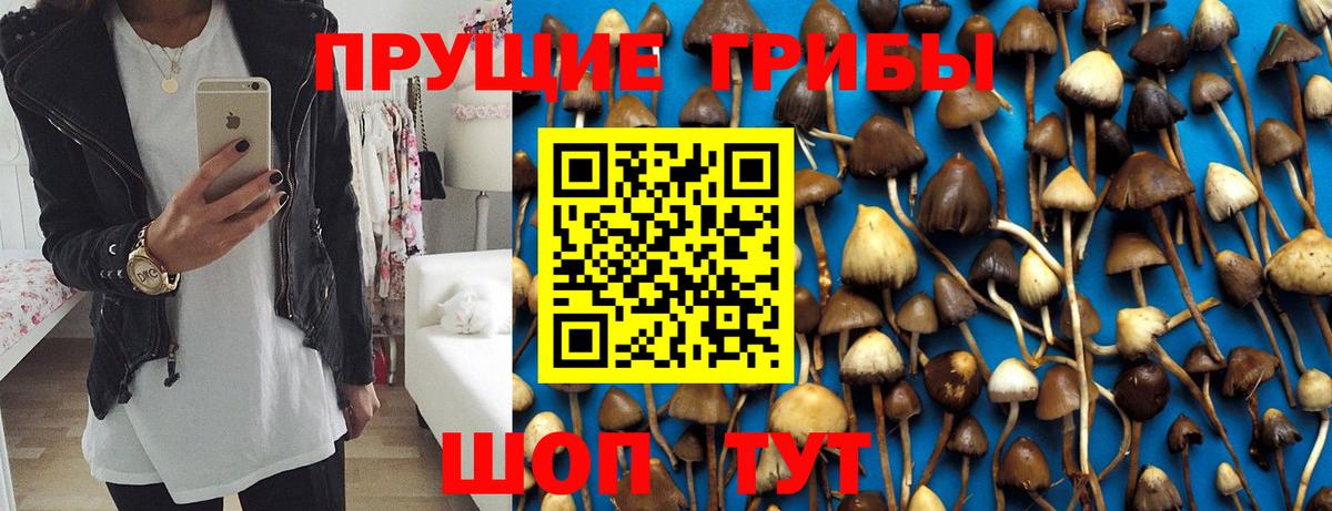Псилоцибиновые грибы мухоморы  Вход с VPN  Вязники  Псилоцибиновые грибы мухоморы 